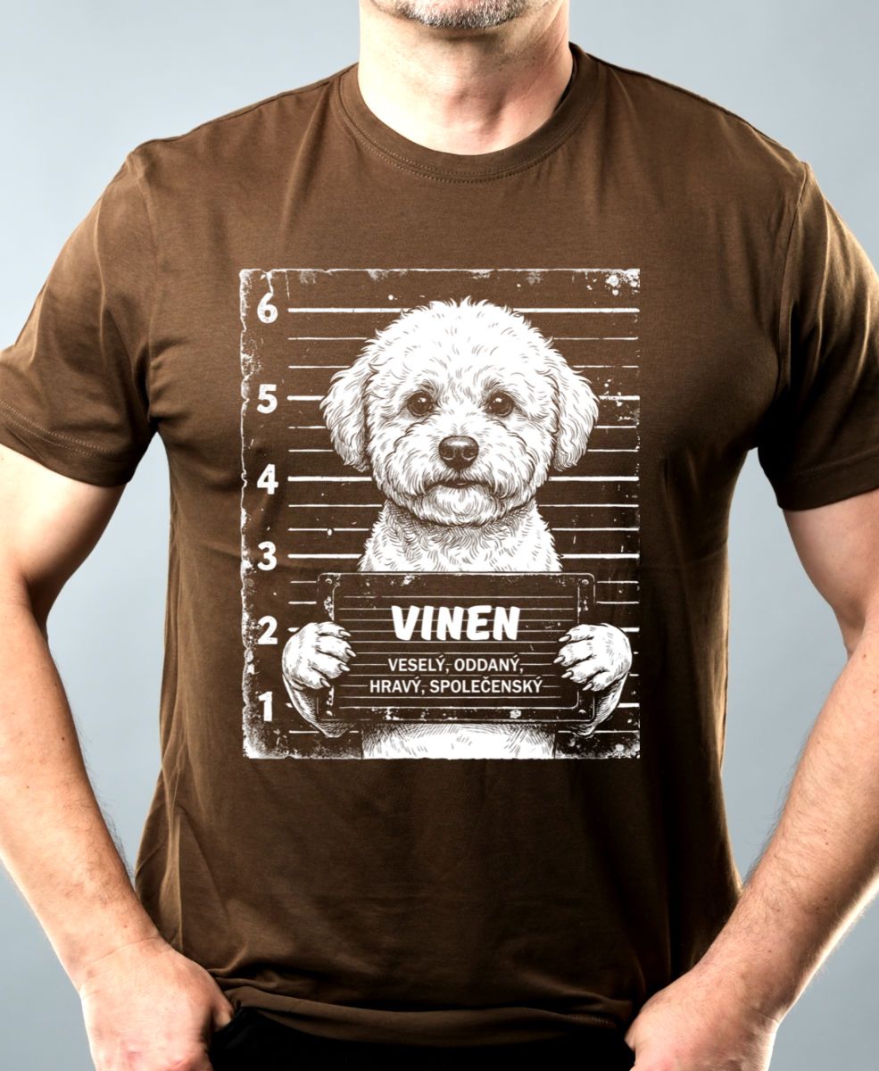 Bichon frisé Bichon frisé