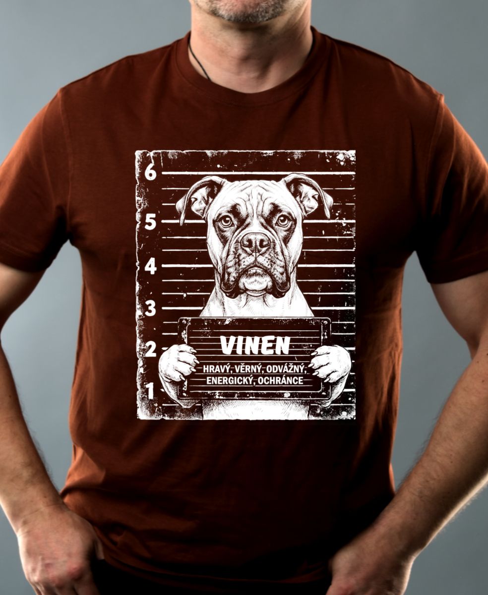 Boxer V2 Boxer V2