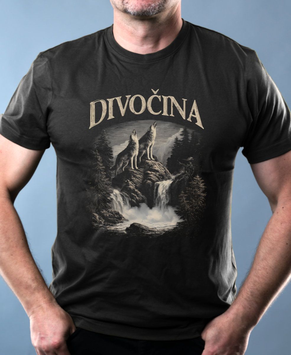 Divočina Divočina