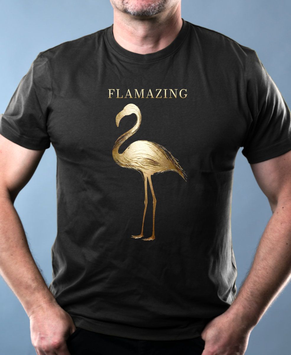 Flamazing, plameňák Flamazing, plameňák