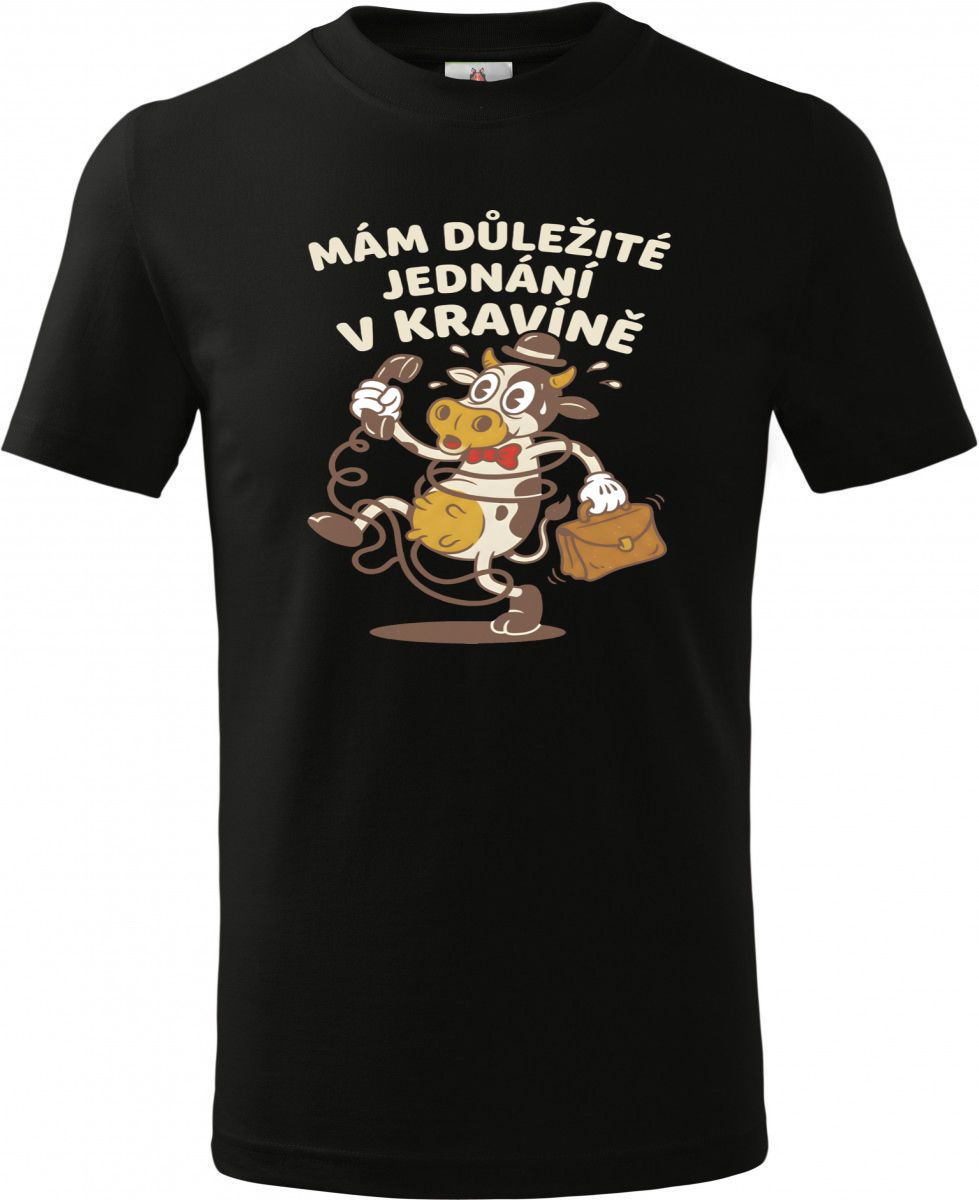 Jednání v kravíně