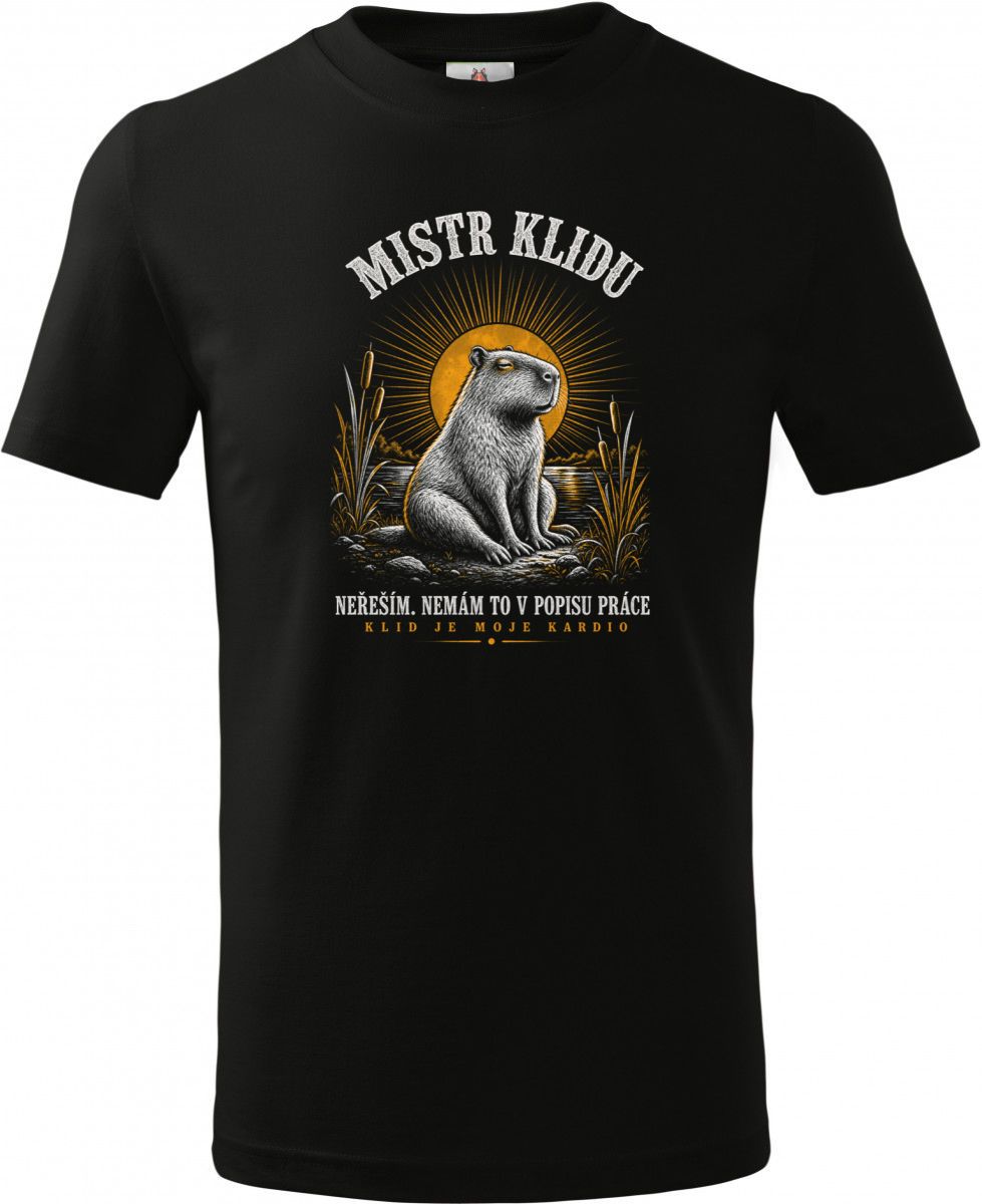 Mistr klidu