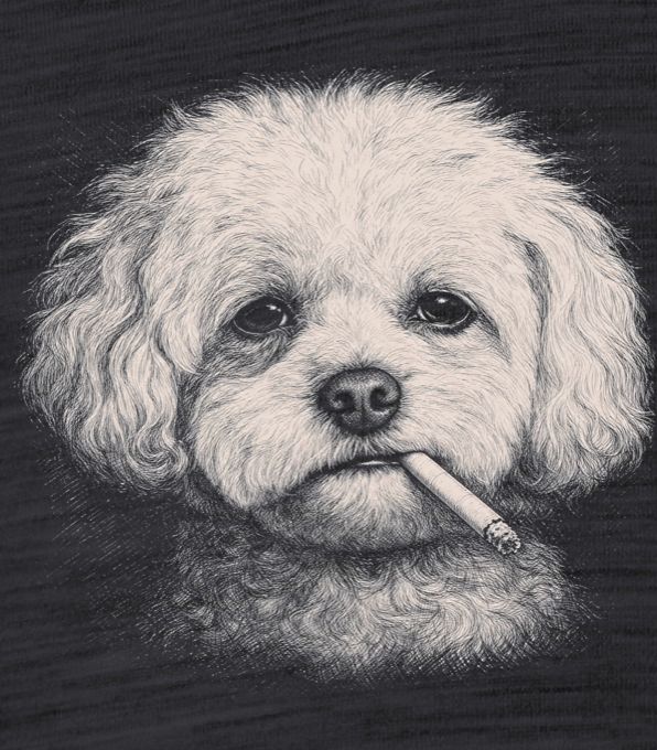 Bišonek s cigaretou - Obrázek 2
