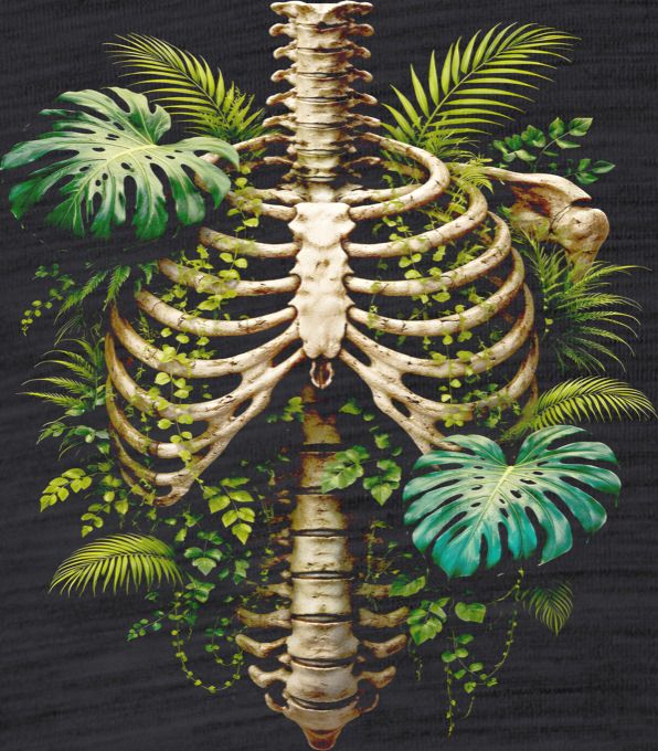 Botanická žebra - Obrázek 2