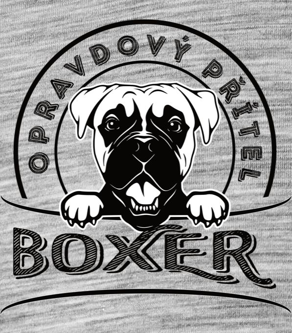 Boxer - Obrázek 2