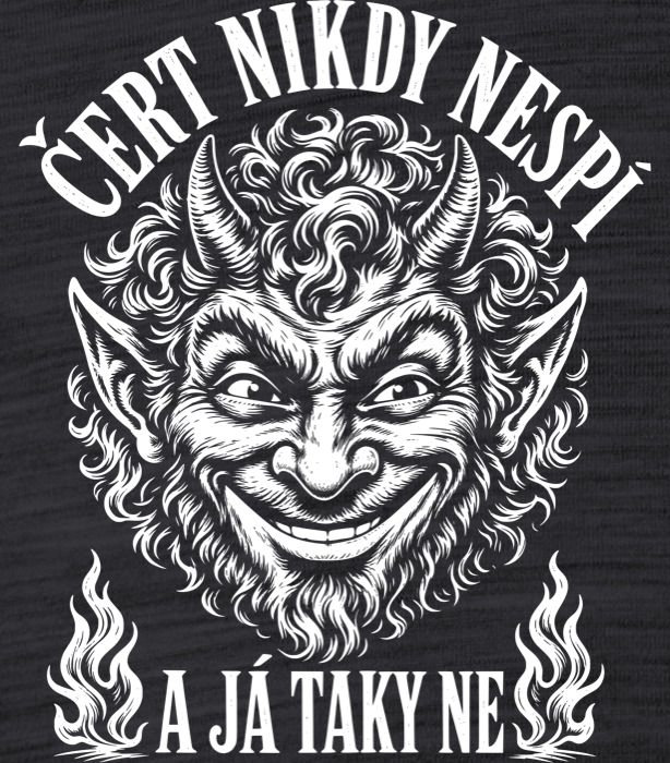 Čert nikdy nespí a já taky ne Čert nikdy nespí a já taky ne - Obrázek 2