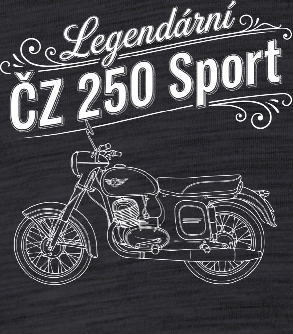 ČZ 250 Sport - Obrázek 2