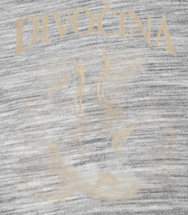 Divočina - Obrázek 2