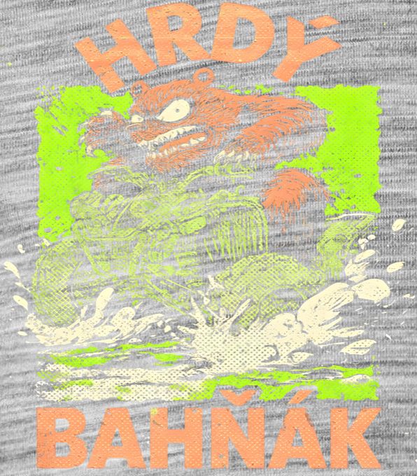Hrdý bahňák - Obrázek 2