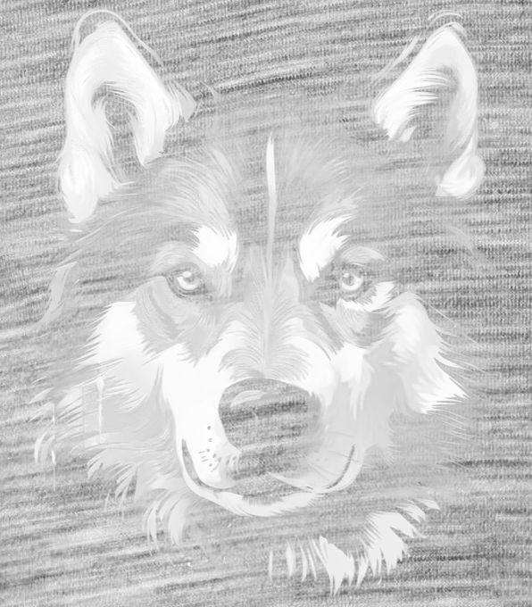 Husky, bílý tisk - Obrázek 2