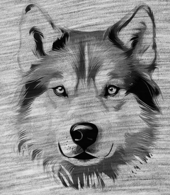 Husky, černý tisk - Obrázek 2