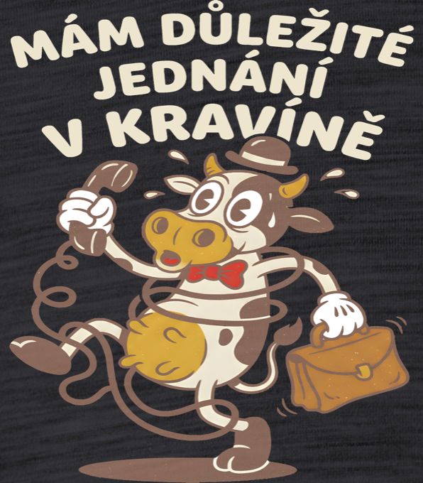 Jednání v kravíně - Obrázek 2