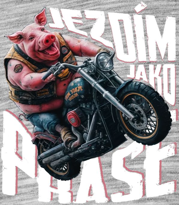 Jezdím jak o PRASE, motorkář, V2 - Obrázek 2