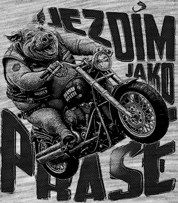 Jezdím jak o PRASE, motorkář, V4 - Obrázek 2