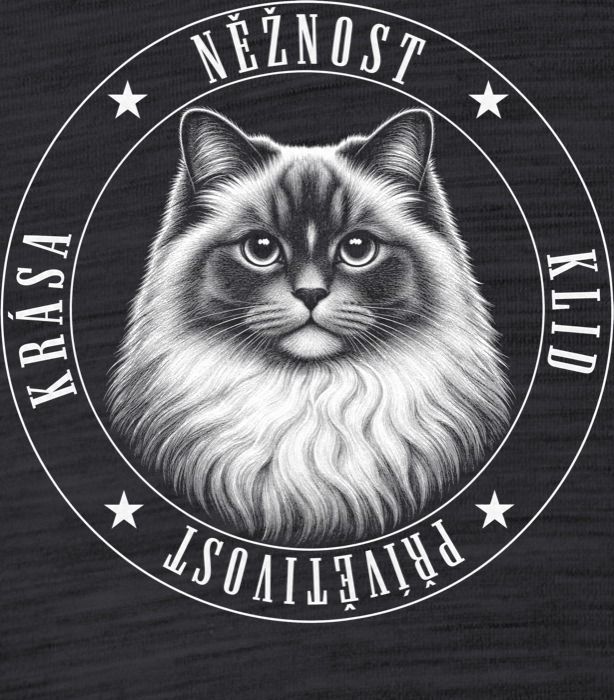 Kočka ragdoll - Obrázek 2
