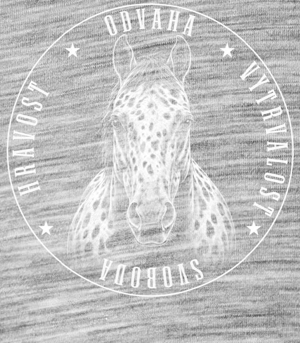 Kůň Appaloosa - Obrázek 2