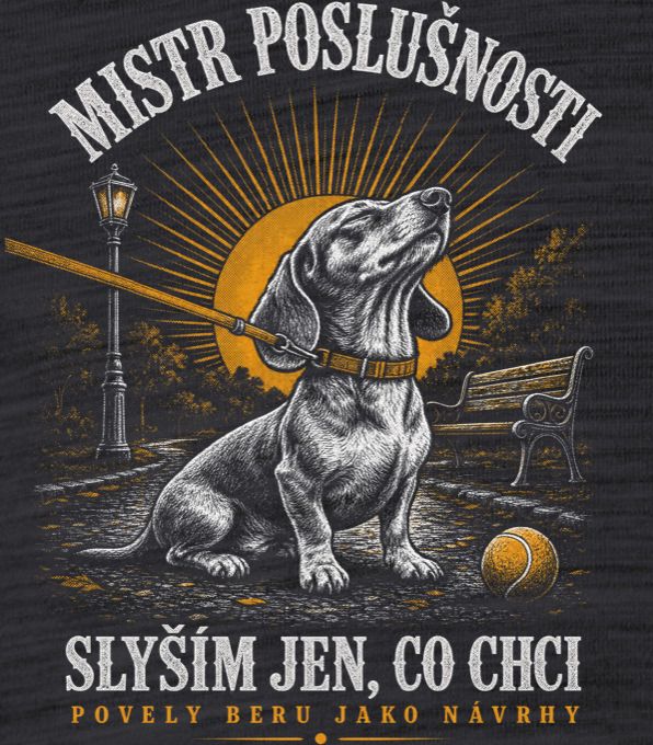 Mistr poslušnosti - Obrázek 2