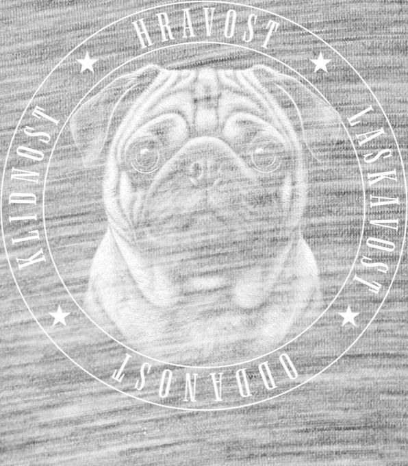 Mops vlastnosti - Obrázek 2