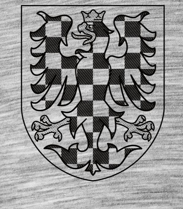 Moravská ORLICE - černá - Obrázek 2