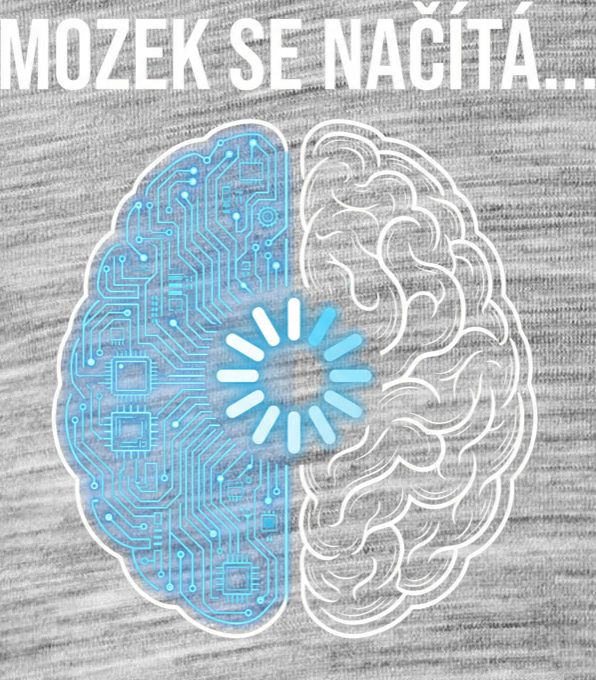 Mozek Se Načítá... - Obrázek 2