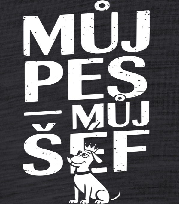 Můj pes,můj šéf - Obrázek 2