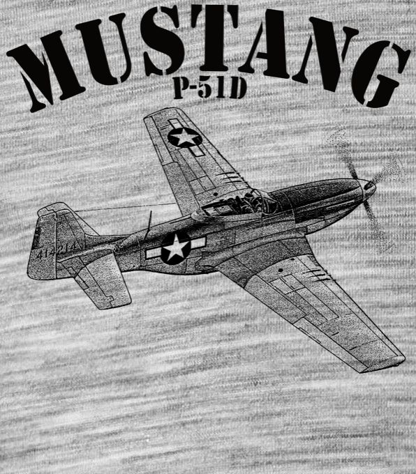 Mustang P-51, V2 - Obrázek 2