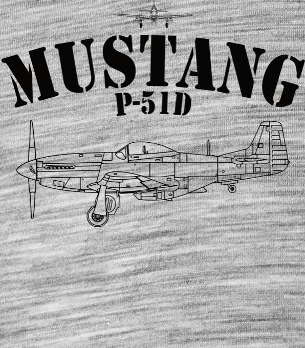 Mustang P-51, V3 - Obrázek 2