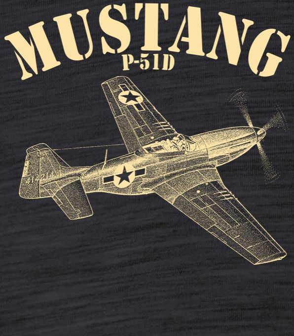 Mustang P-51, V4 - Obrázek 2