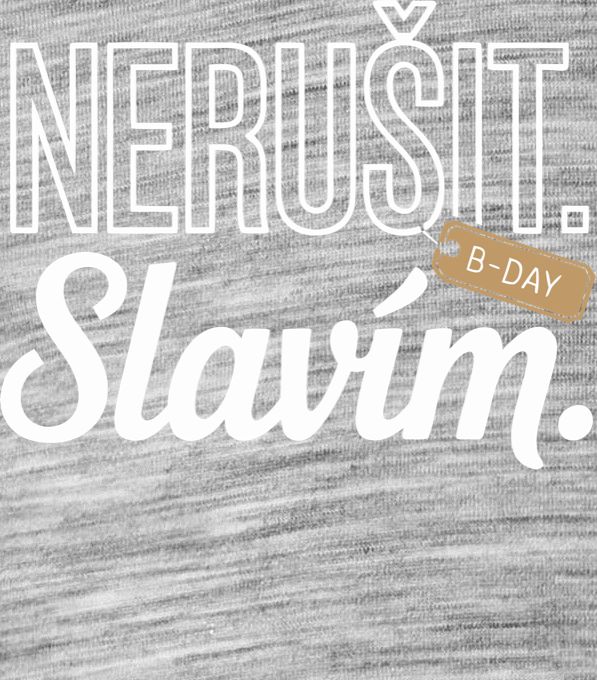 Nerušit. Slavím. - Obrázek 2