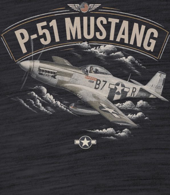Mustang P-51, ver10 - Obrázek 2