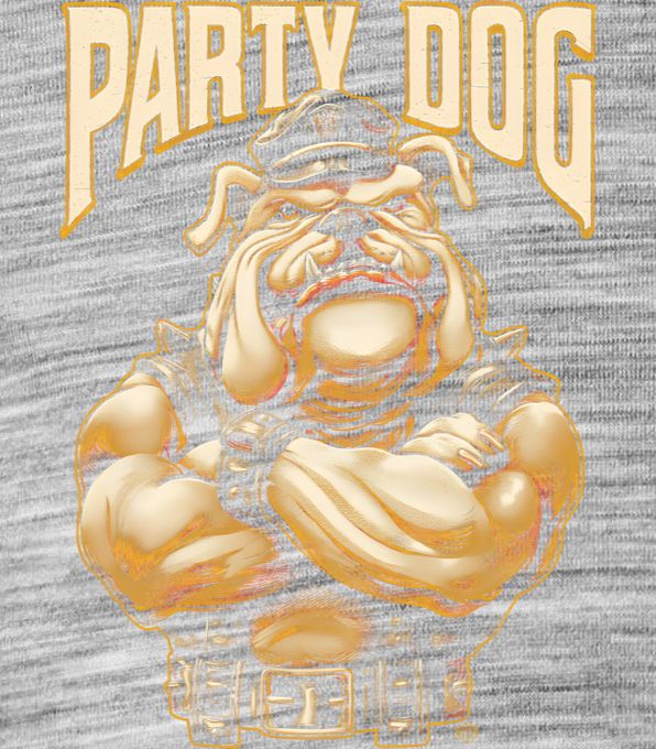 Party dog šéf - Obrázek 2