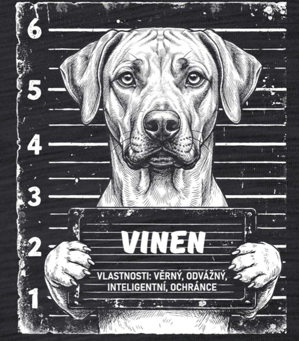 Ridgeback - Obrázek 2