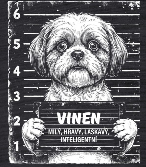 Shih Tzu - Obrázek 2