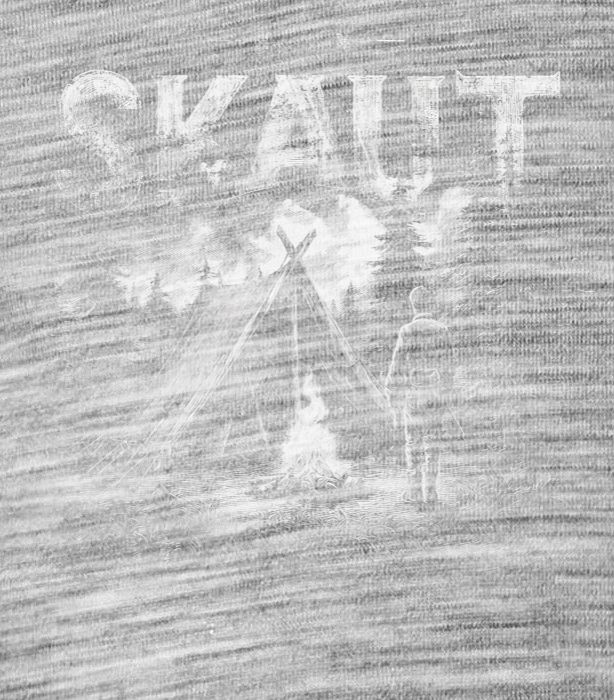 Skaut - Obrázek 2