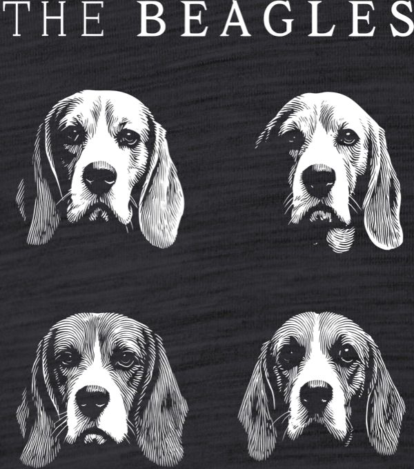 The Beagles - Obrázek 2