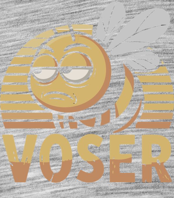 VOSER - Obrázek 2