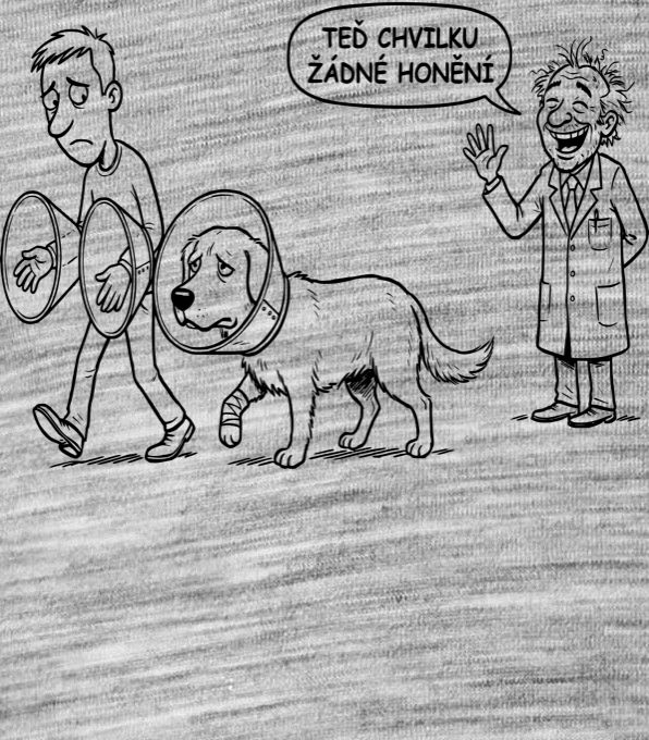 Žádné honění, černý potisk - Obrázek 2