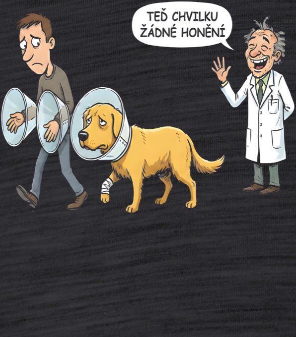Žádné honění - Obrázek 2