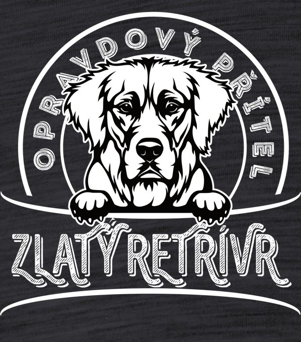 Zlatý retrívr V2 - Obrázek 2