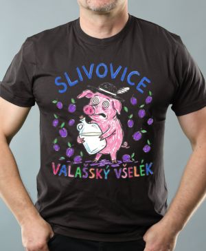 Valašský všelék